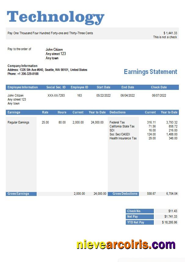 technology company paystub
